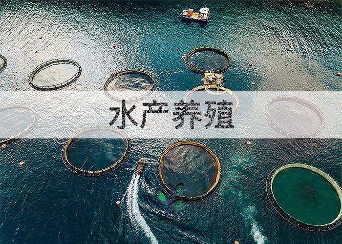 水产养殖